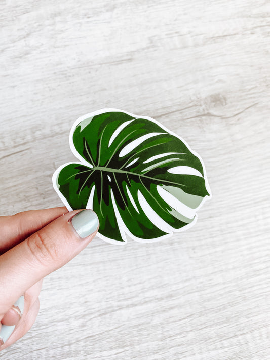 Palm Leaf Sticker